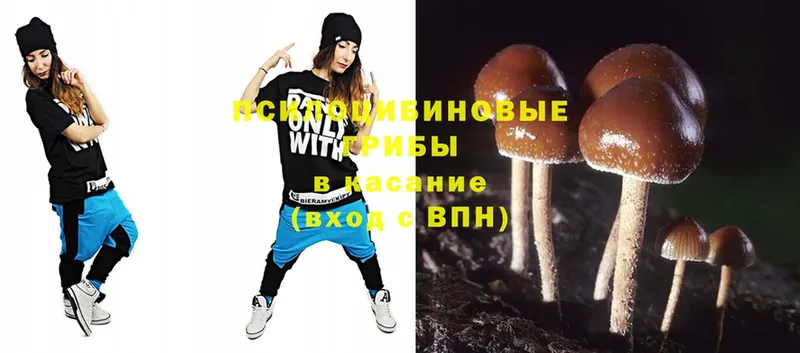 Галлюциногенные грибы Magic Shrooms  Дзержинский 